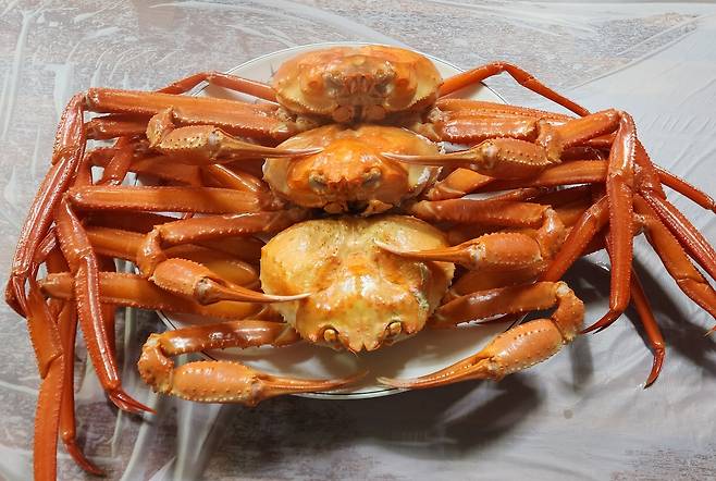 사진은 기사와 무관함. [헤럴드DB]