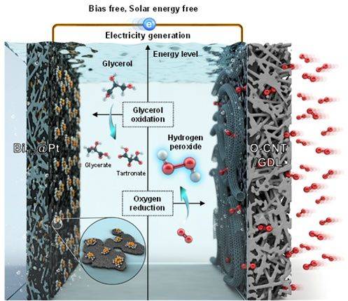 [울산=뉴시스] 구미현 기자 = UNIST 연구그림. 전기나 태양광에너지 없이 과산화수소와 글리세르산을 생산하는 시스템 (사진=UNIST 제공) photo@newsis.com *재판매 및 DB 금지