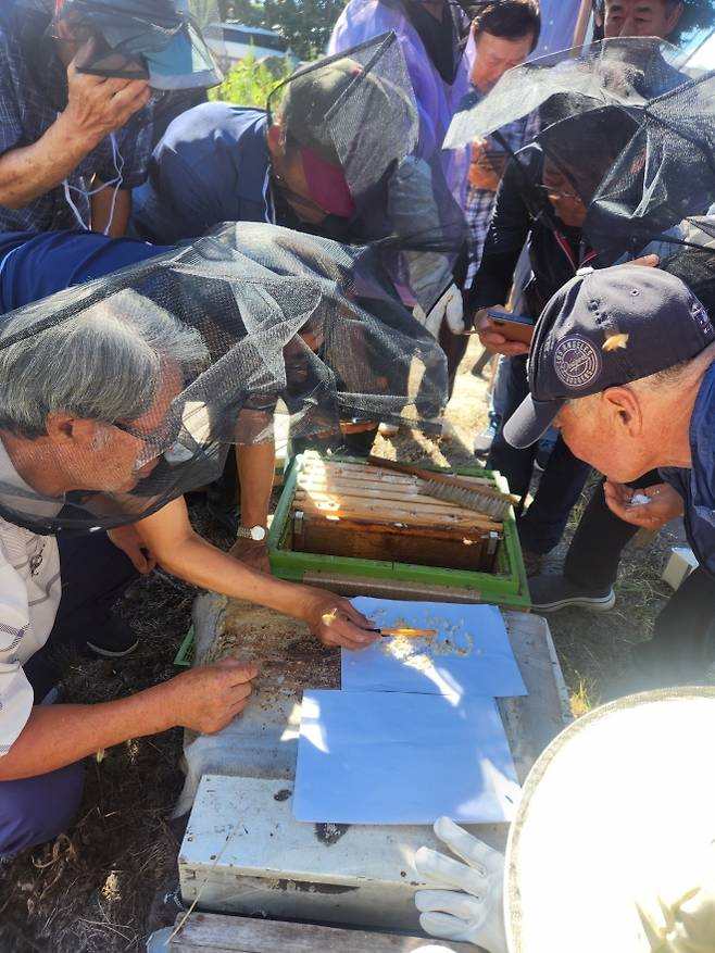 지난 3일 서귀포시 안덕면 상창리문화회관에서 열린 기후변화로 위협받는 양봉산업 보호를 위해 꿀벌 질병 관리 세미나에서 양봉 농민들이 방제 실습을 하고 있다. 제주도 제공
