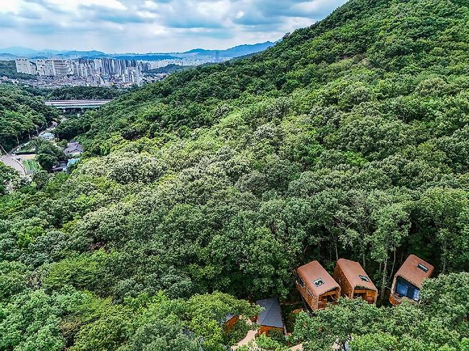 트리하우스가 보이는 도심 숲 [사진/임헌정 기자]