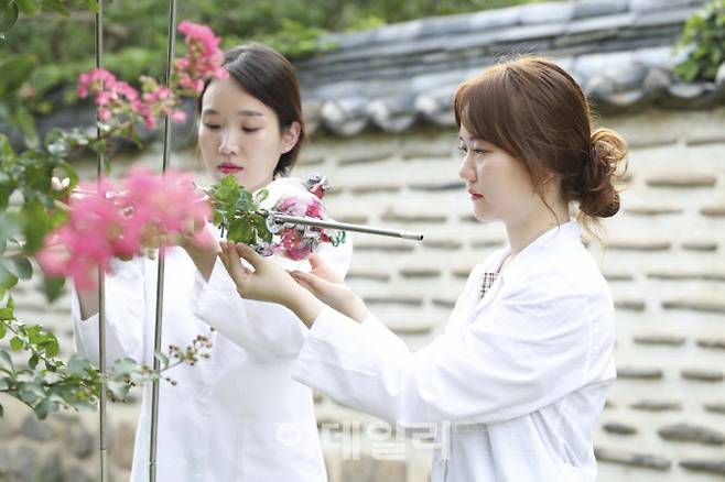 코스맥스 R&I센터 연구원들이 센트리티지 프로젝트 일환으로 꽃나무에서 향을 포집하고 있다. (사진= 코스맥스)