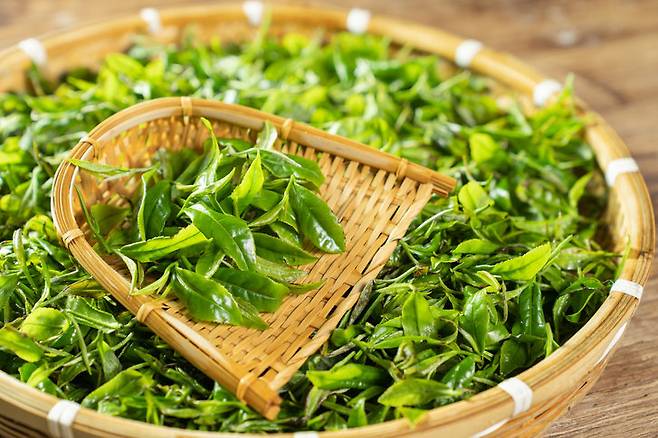 사진=게티이미지코리아.