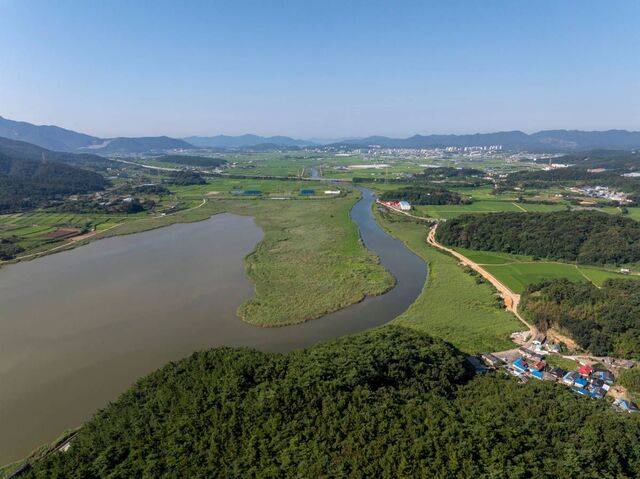 드넓은 갈대숲이 펼쳐진 마동호 습지에는 737종의 생물이 서식한다.