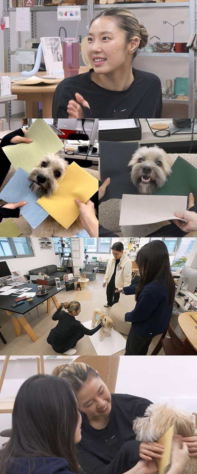 ‘나혼산’. 사진| MBC