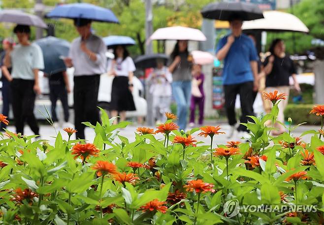 가을비 [연합뉴스 자료사진]