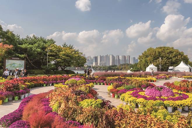 ▲ 꽃의 도시 2025 고양가을꽃축제'가 오는 19~30일 일산호수공원 일원에서 개최된다(사진은 지난해 열린 '고양가을꽃축제' /사진 제공=고양시