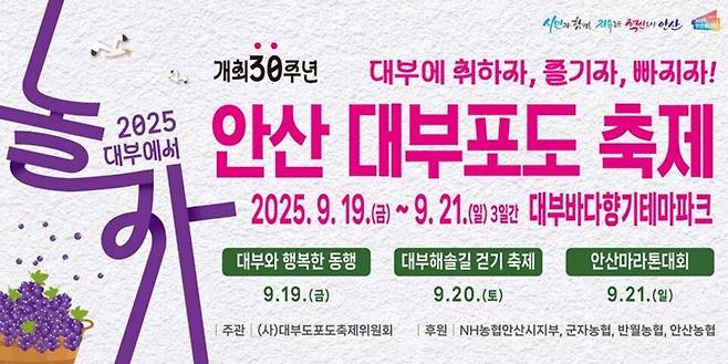 ▲ 20일에는 오전 9시 대부해솔길 걷기 축제에 이어 대부 포도 밟기, 대부 포도 이벤트가, 오후 5시부터 방아머리 해변에서 선셋콘서트가 각각 펼쳐진다. 마지막 날에는 안산마라톤대회를 시작으로 음악회, 마술, 뮤지컬, 대부동 신바람 콘서트가 진행된 뒤 폐막식을 끝으로 축제를 마무리한다. 이 밖에도 대부 포도 디저트 시식, 포도·농특산물 직거래 장터, 어린이·가족 참여형 이벤트, 승마체험장, 포도 터널 포토존 등 풍부한 콘텐츠를 마련해 축제를 찾는 방문객들에게 특별한 경험을 제공할 예정이다. 이민근 안산시장은 "품질 좋은 대부 포도를 널리 알리고 시민과 관광객이 함께 즐길 수 있는 대표적인 지역 페스티벌"이라며 "가을의 문턱에서 많은 분이 함께해 대부도의 매력을 만끽하시길 기대한다"고 했다. /사진제공=안산시 /안산=이동희 기자 dhl@incheonilbo.com