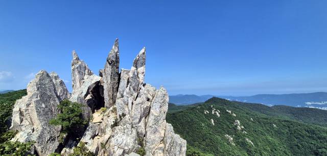 닭 볏 닮았나? 금정산 챌린지 2코스 종점인 상계봉의 기묘한 돌부리들.