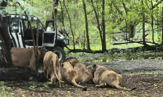 /사진=뉴욕포스트 갈무리