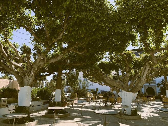 구시가지 랜드마크 중 하나인 엘 메디나 카페