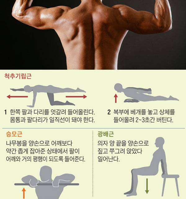 클립아트코리아, 조선일보 DB