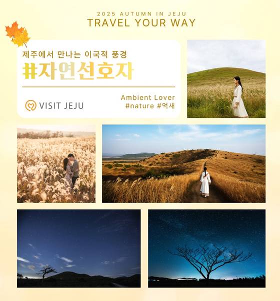 가을 제주를 즐기는 7가지 방법. 사진 제주관광공사