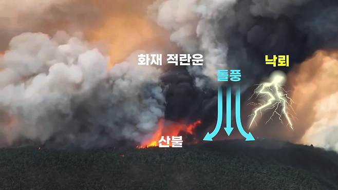 대규모 산불로 발생하는 화재 적란운은 돌풍과 낙뢰를 동반해 산불을 확산할 수 있다. 그래픽 : 최창준