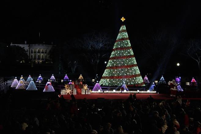 워싱턴 D.C. 연말 크리스마스트리 / 사진=미국관광청