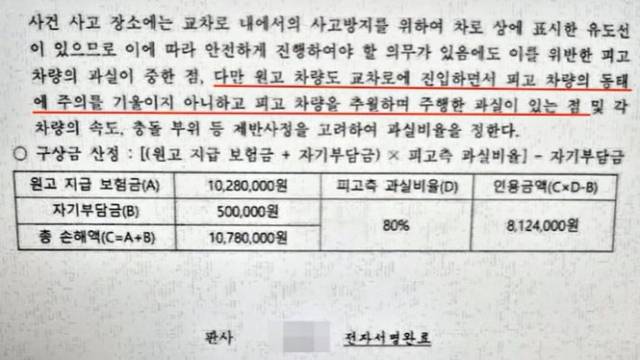 A씨의 1심 판결문. 유튜브 '한문철 TV' 갈무리