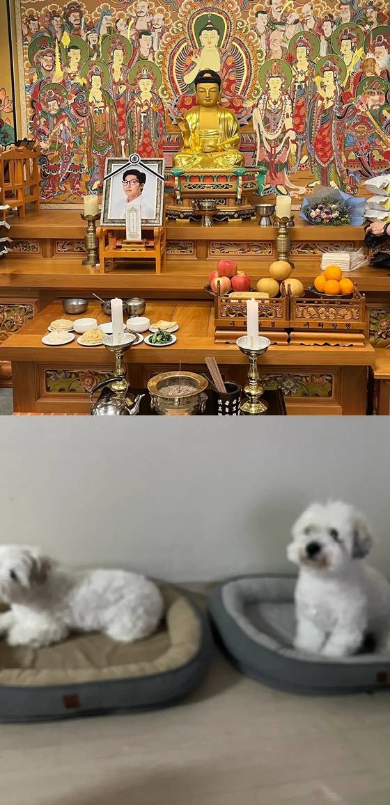 /사진=유튜브 채널 '대도서관TV'