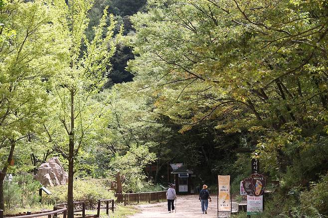가을 준비 마친 주왕산 국립공원  (청송=연합뉴스) 박세진 기자 = 지난 11일 경북 청송군 주왕산 국립공원 주봉 방면 등산로에서 시민들이 걷고 있다. 2025.9.11 psjpsj@yna.co.kr