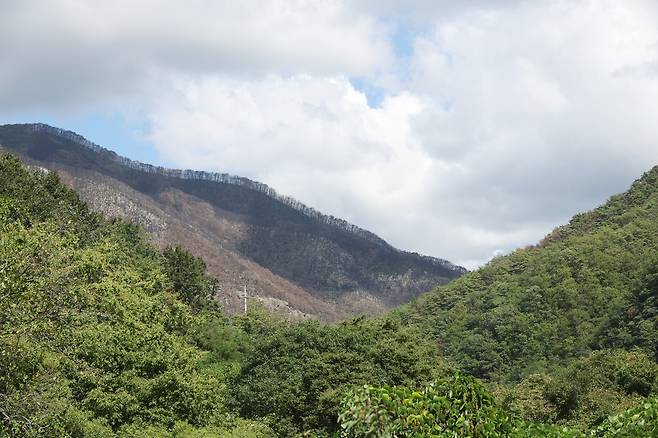 불에 탄 채 남겨진 주왕산  (청송=연합뉴스) 박세진 기자 = 지난 11일 경북 청송군 주왕산 국립공원 달기폭포 부근 산림이 불에 탄 채 남아 있다. 2025.9.11 psjpsj@yna.co.kr