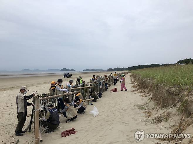 태안해안 사구 모래 포집기 설치 [태안해안국립공원사무소 제공.재판매 및 DB 금지]