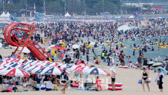 (사진=연합뉴스)