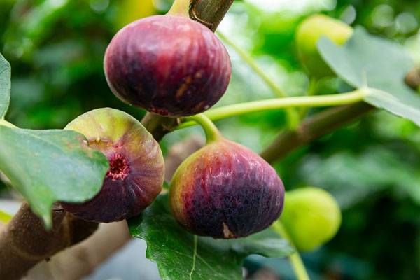 사진=클립아트코리아