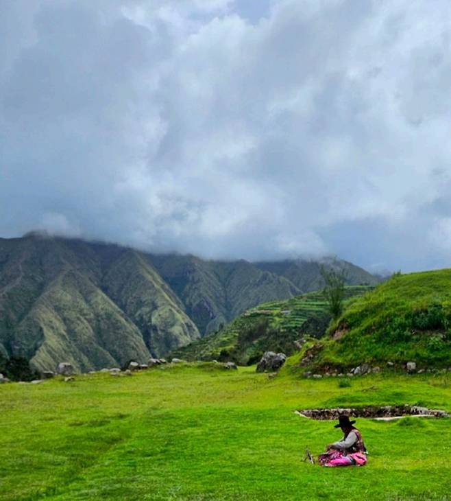 사진 = 미다스북스