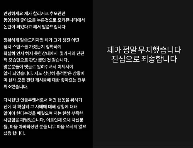 해쭈가 올린 사과문. 인스타그램 캡처