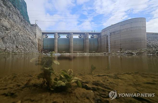 단비 소식 반가운 강릉 오봉저수지 (강릉=연합뉴스) 양지웅 기자 = 14일 강원 강릉지역의 생활용수 87%를 공급하고 있는 오봉저수지가 전날 내린 비로 저수율이 소폭 상승해 있다.
전날 강릉지역에 100㎜가량 내린 비로 오봉저수지의 저수율은 이날 오후 2시 기준 15.8%로(평년 71.7%) 전날보다 2.8%포인트 상승했다. 2025.9.14 yangdoo@yna.co.kr