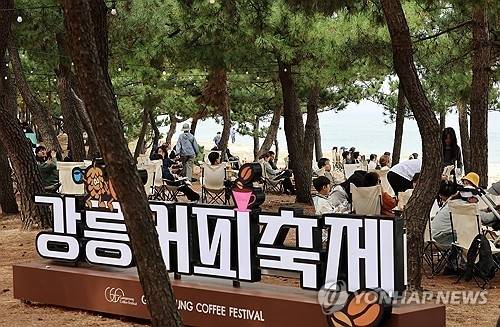 ▲ 지난해 열린 제16회 강릉커피축제에서 관광객과 시민들이 송정해변 소나무 숲에 앉아 커피를 마시며 가을 낭만을 만끽하고 있다. [연합뉴스 자료사진]