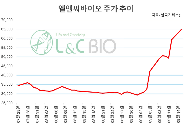 그래픽=임성영 기자
