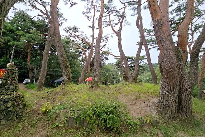 평지로부터 높이 2m도 안 되는 의림지 호변의 산, 신털이봉