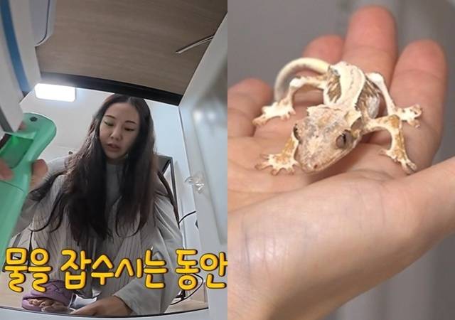 MBC ‘전지적 참견 시점’ 캡처