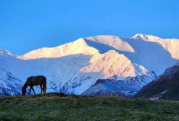 새벽의 파미르고원. 새벽빛이 들어와 이불을 개어내듯 어둠을 걷는다. 말이 초원의 풀을 뜯는 것이 아니라 수행을 하는 게 아닐까 싶을 정도로 특별한 경치다. 이곳의 주인은 자연 자체다. 인간은 존재감이 없다.