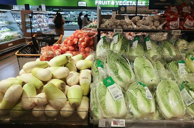 13일 서울 한 대형마트 배추, 무 진열대. 연합뉴스