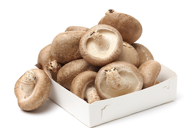 표고버섯