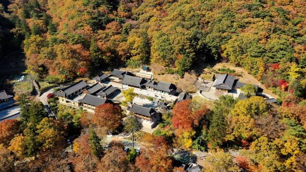 사진은 산청 대원사 계곡길 단풍 모습. / 산청군