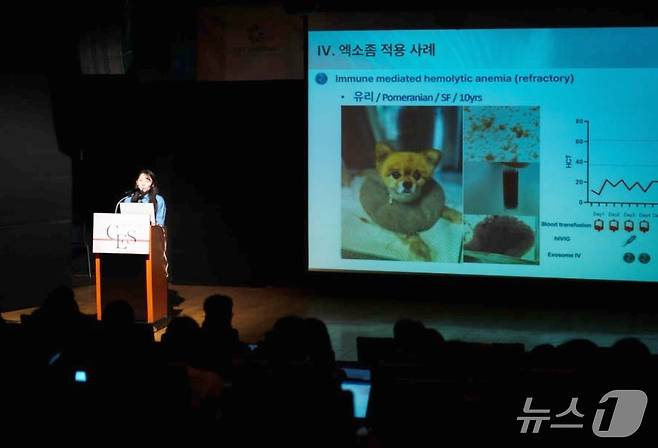 임가현 수의사가 14일 열린 '벳아너스 증례 교류 심포지엄'에서 발표를 하고 있다(벳아너스 제공). ⓒ 뉴스1
