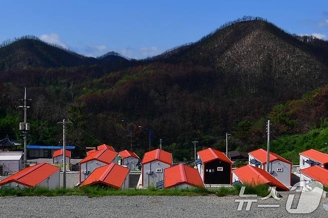 16일 경북 영덕 괴물산불 피해지역인 석리 마을 공터에 마련된 산불이재민임시숙소 맞은편에 검게 탄 산이 당시 상황을 설명해주고 있다. 2025.9.16/뉴스1 ⓒ News1 최창호 기자