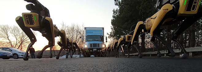 보스턴 다이내믹스의 4족 보행 로봇인 스팟들이 협력해 트럭을 끌고 있는 모습./보스턴 다이내믹스