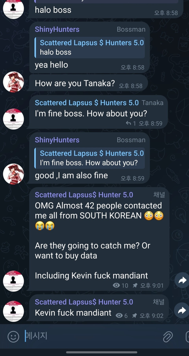 스캐터드 랩서스$의 탤레그램 업로드 타임라인. SNS 갈무리