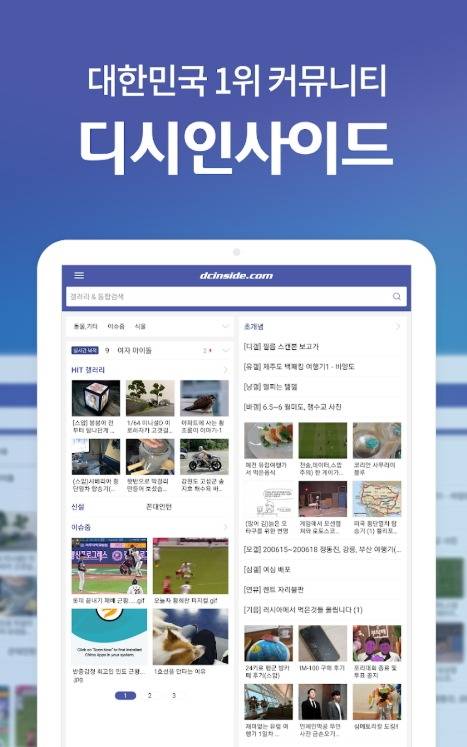 사진=디시인사이드