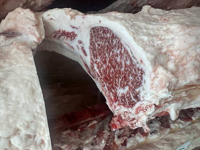 설화 한우 세트에 담을 한우의 단면적을 하나하나 샘플링하며 선별하는 모습 / 사진=롯데백화점 제공