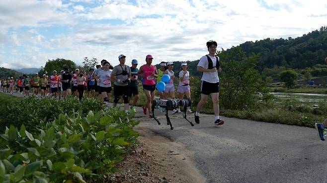 라이온로보틱스의 4족보행 로봇 ‘라이보’가 마라톤 대회에 참가해  사람들과 함께 달리는 모습[사진=KAIST]