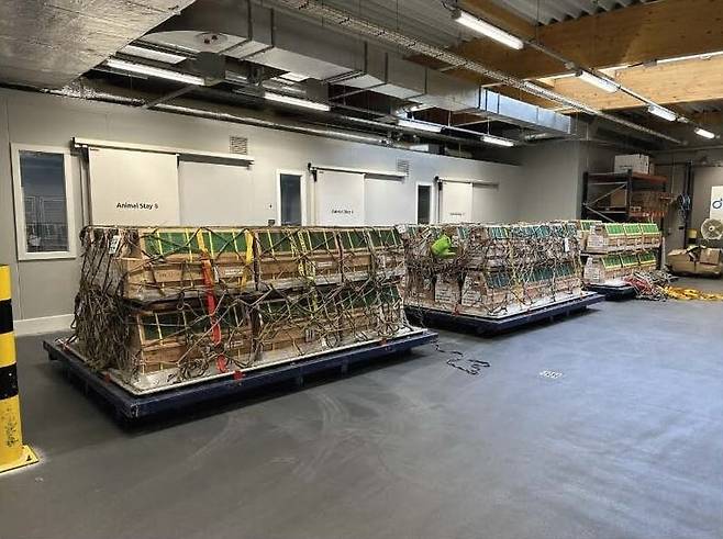 실험을 위해 이송되는 원숭이.[PETA 홈페이지 갈무리]