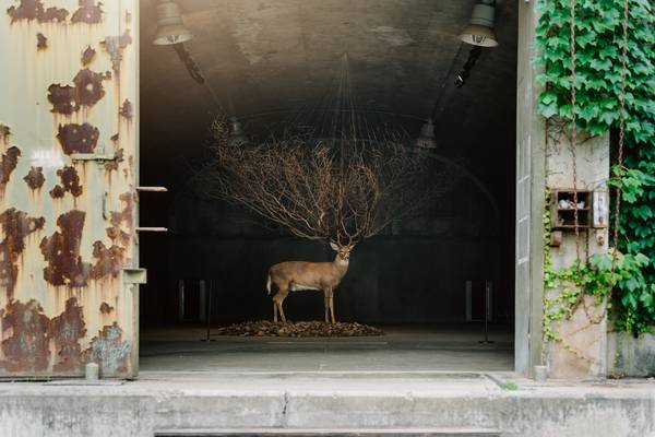 캠프그리브스 탄약고에 설치된 작품 김명범의 ‘원(one)’. /경기관광공사 제공