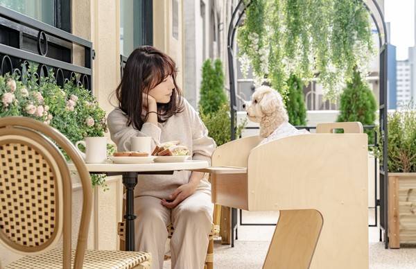 [사진 출처 = 디니어]