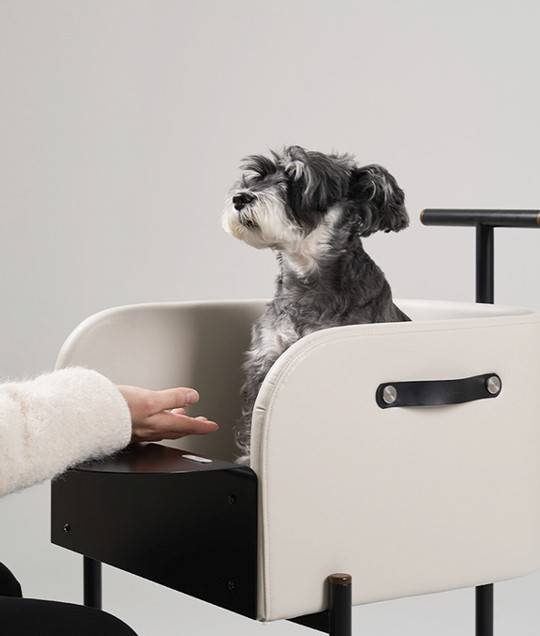 [사진 출처 = 디니어]