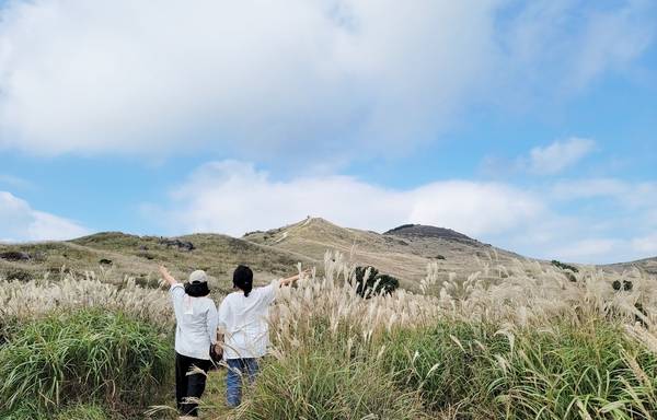 황매산을 찾은 관광객이 파란 하늘아래 은빛으로 물드는 억새 속에서 포즈를 취하고 있다. /합천군