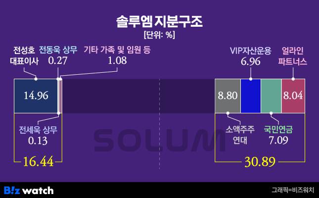 솔루엠 지분구조