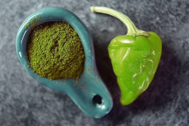 고추와 녹차는 열 발생과 칼로리 소모를 도와주고, 비타민 D가 풍부한 음식은 근육량 유지와 운동 효율을 높인다. 사진= 게티이미지뱅크